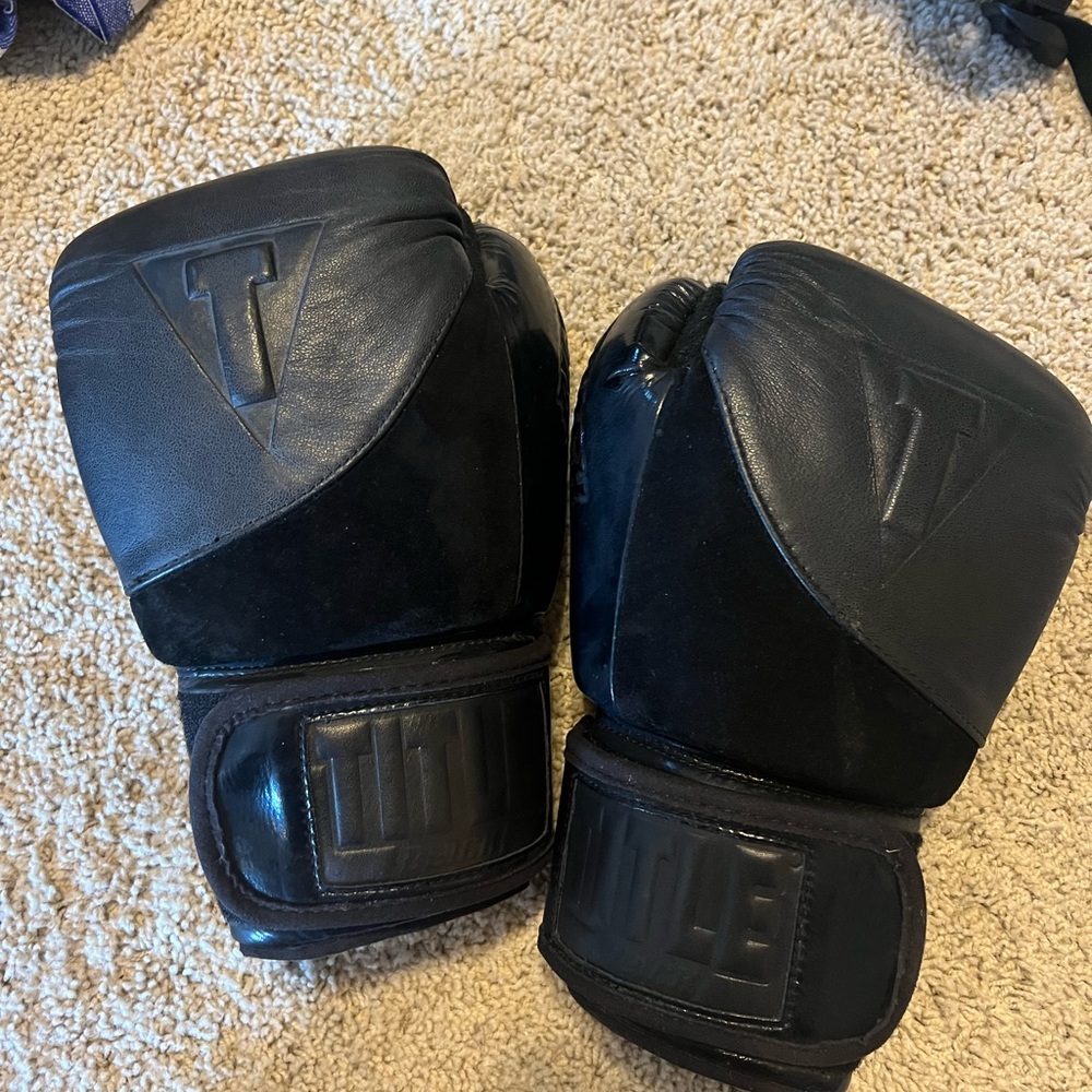TITLE boxing black training gloves